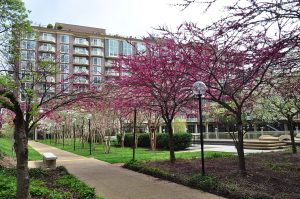 520 N St SW / Harbour Square